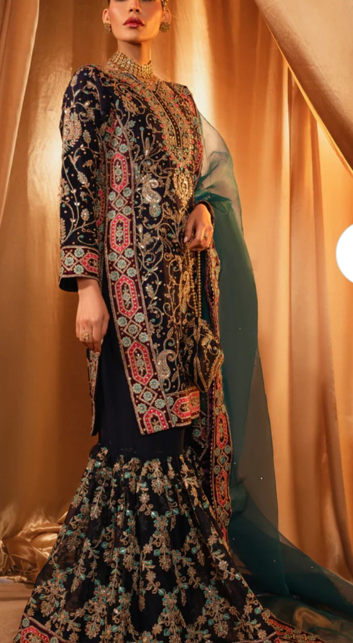 Pakistani/Indian traditional women clothing