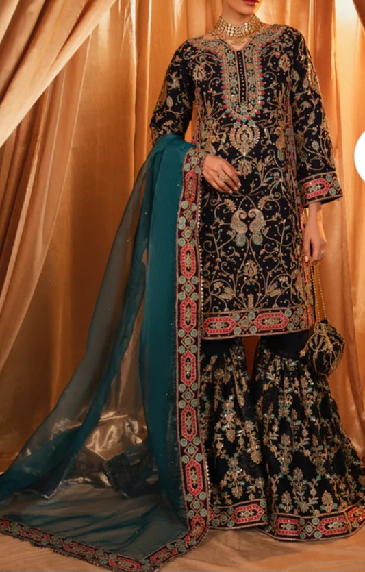 Pakistani/Indian traditional women clothing