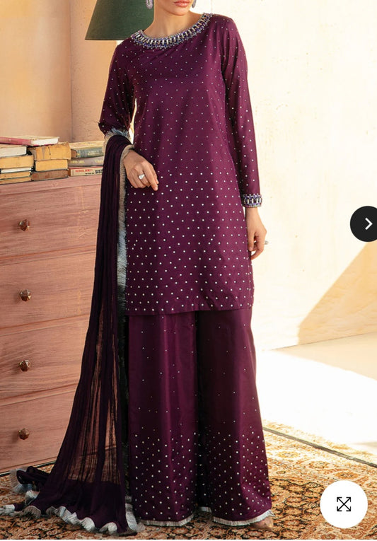 Pakistani/Indian traditional women clothing