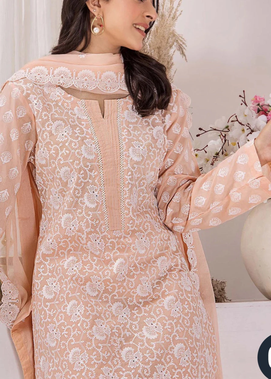 Pakistani/Indian traditional women clothing