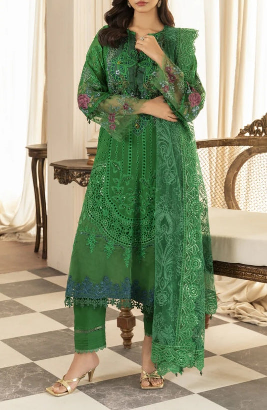 Pakistani/Indian traditional women clothing
