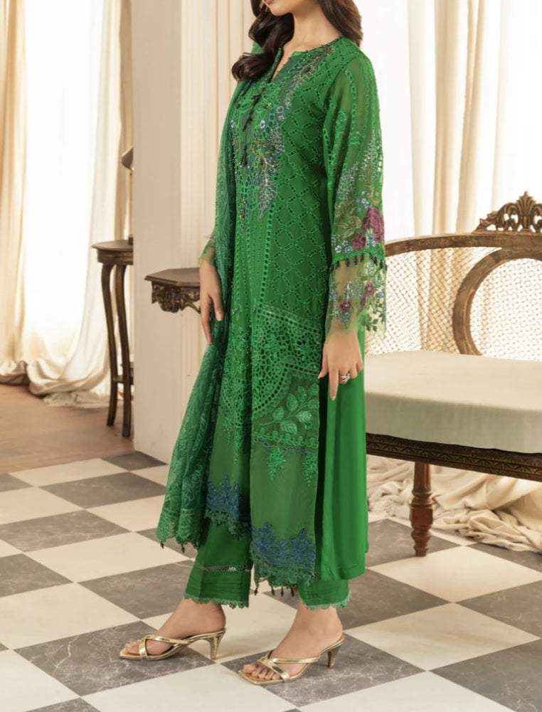 Pakistani/Indian traditional women clothing