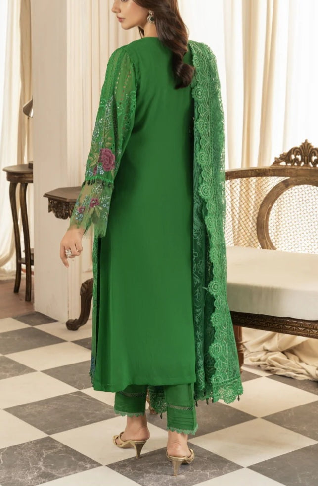 Pakistani/Indian traditional women clothing