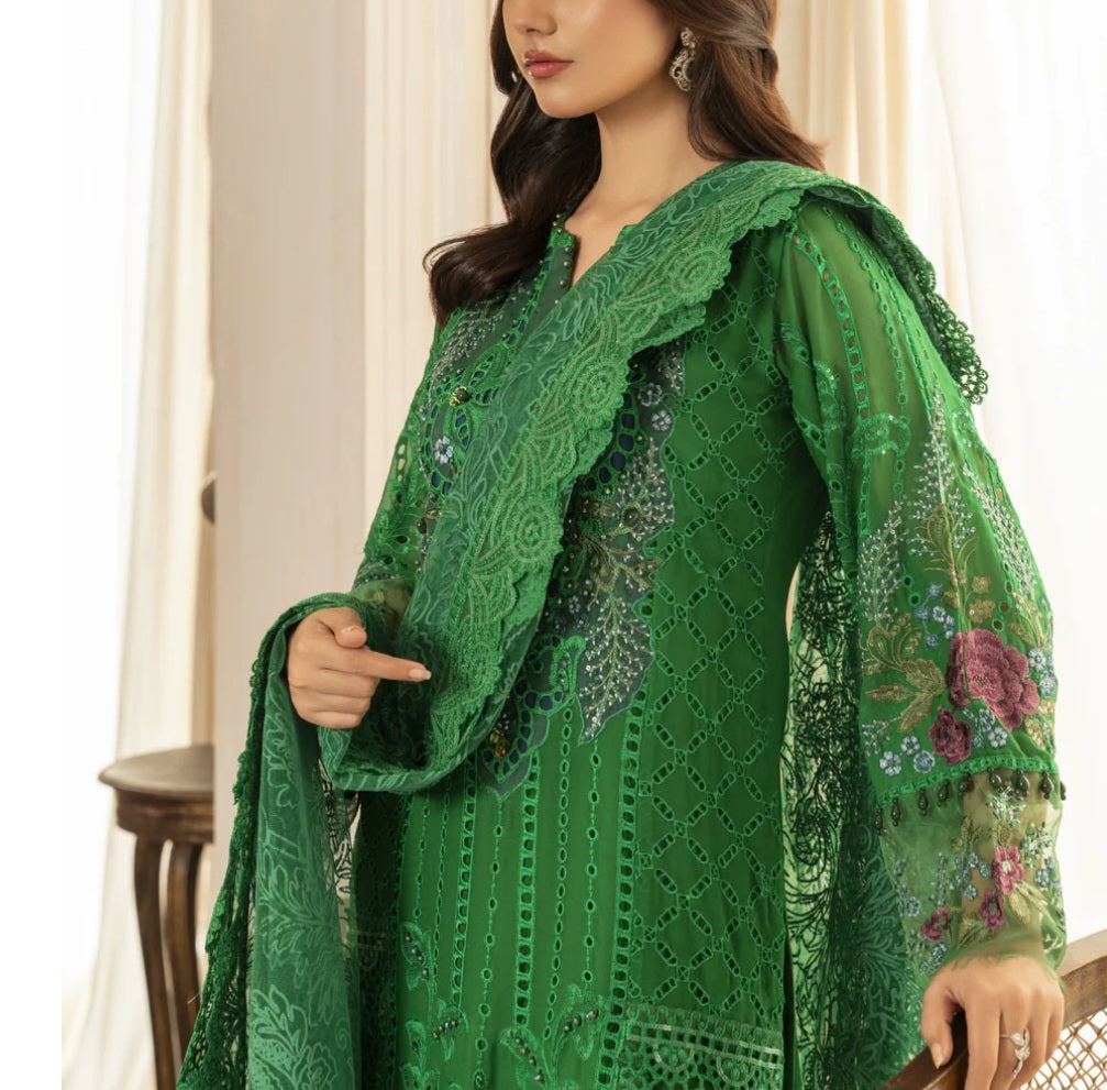 Pakistani/Indian traditional women clothing