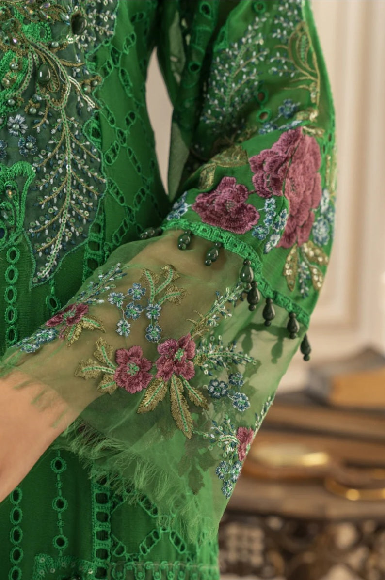 Pakistani/Indian traditional women clothing