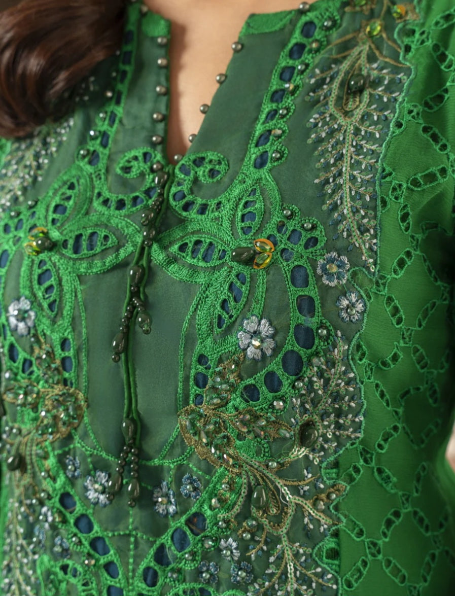 Pakistani/Indian traditional women clothing
