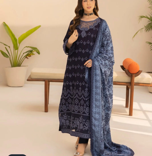 Pakistani/Indian traditional women clothing