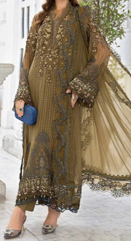 Pakistani/Indian traditional women clothing