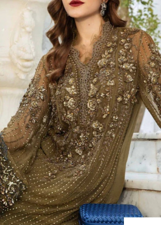 Pakistani/Indian traditional women clothing