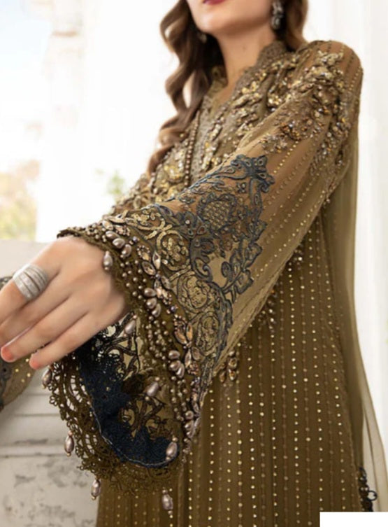 Pakistani/Indian traditional women clothing