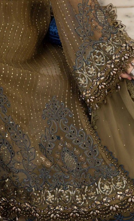 Pakistani/Indian traditional women clothing