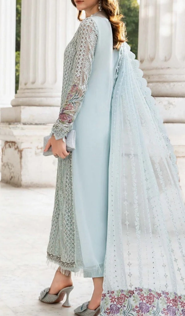 Pakistani/Indian traditional women clothing