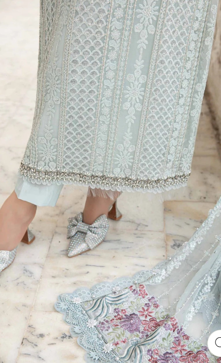 Pakistani/Indian traditional women clothing