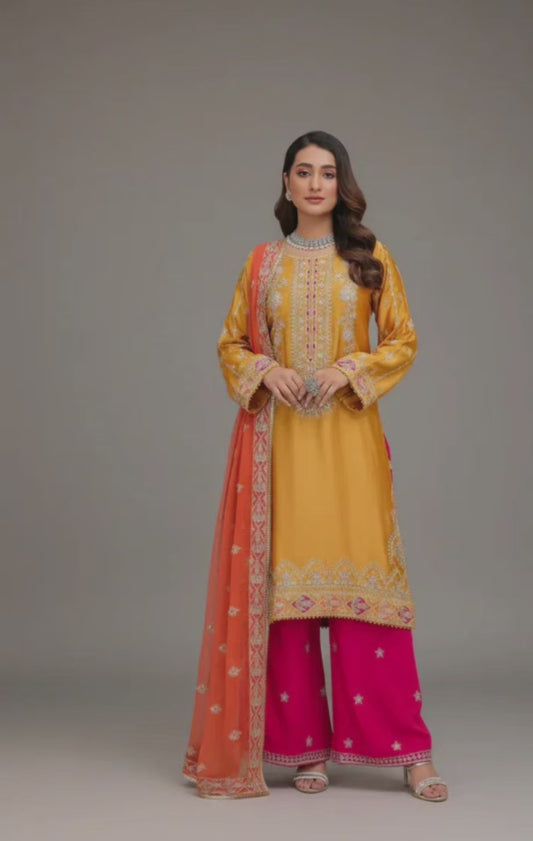 Pakistani/Indian traditional women clothng
