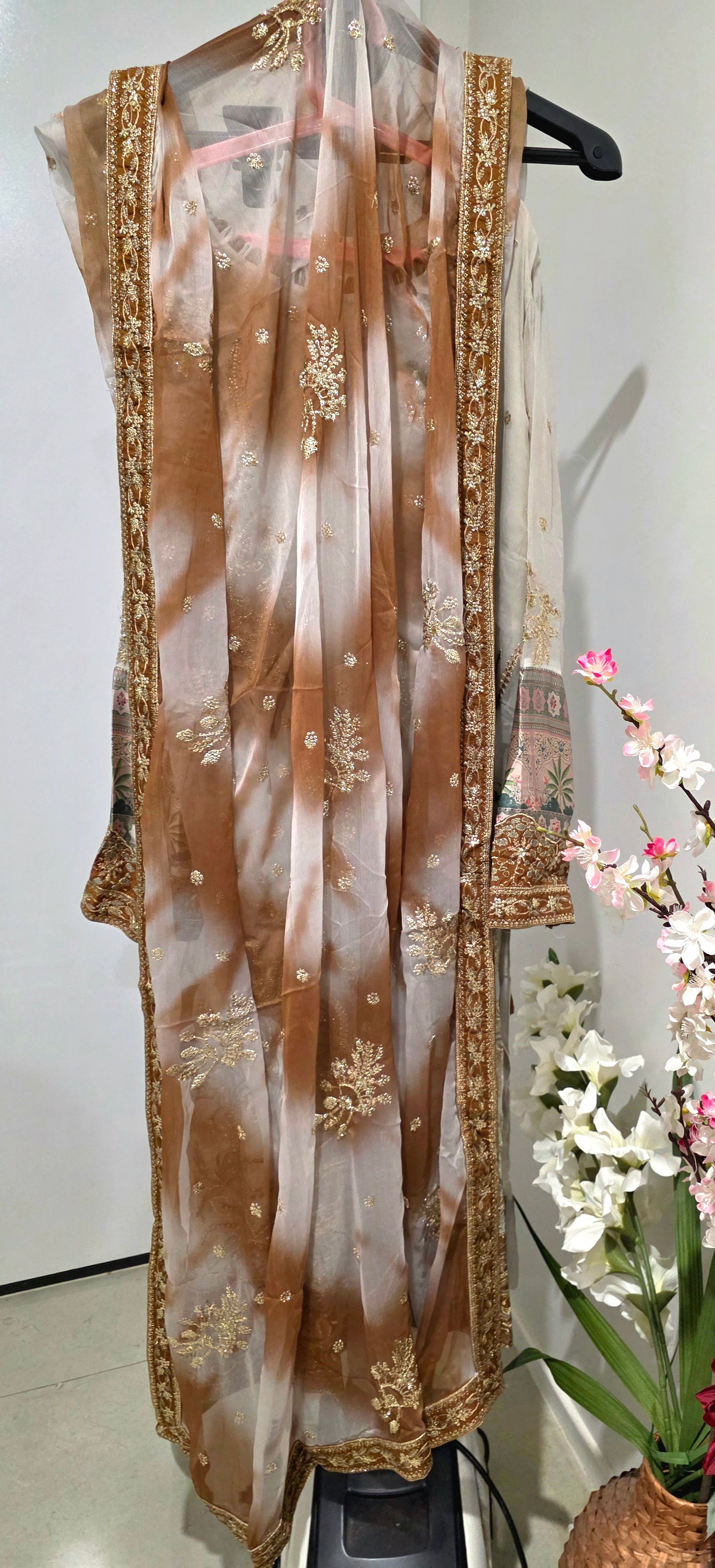 Pakistani/Indian traditional women clothng