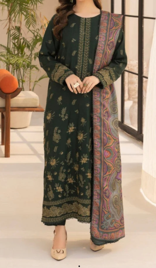 Pakistani/Indian traditional women clothing