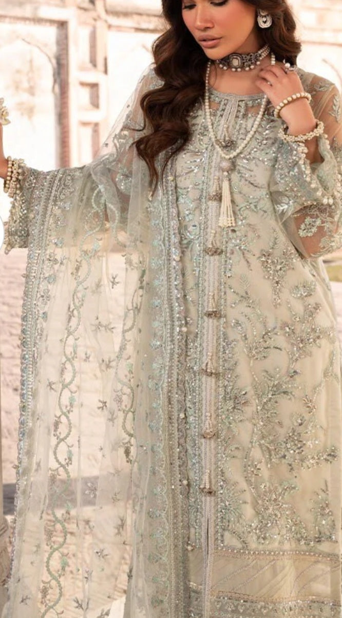 Pakistani/Indian traditional women clothing