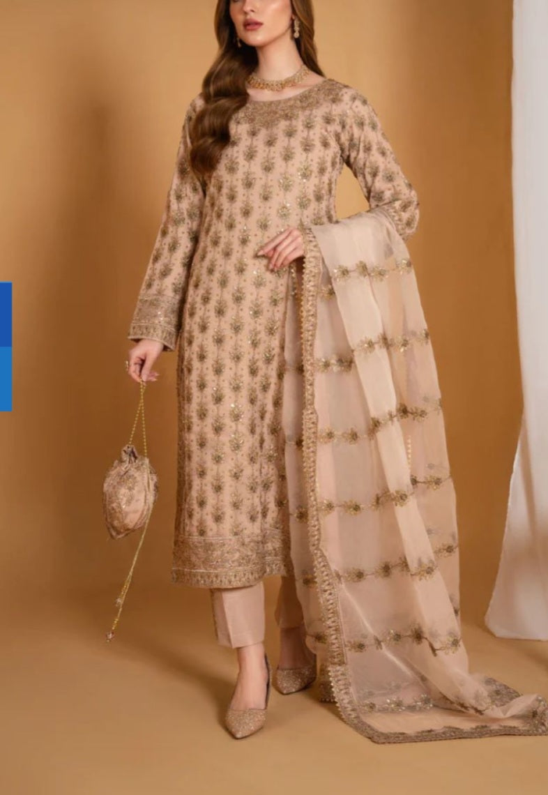 Pakistani/Indian traditional women clothng