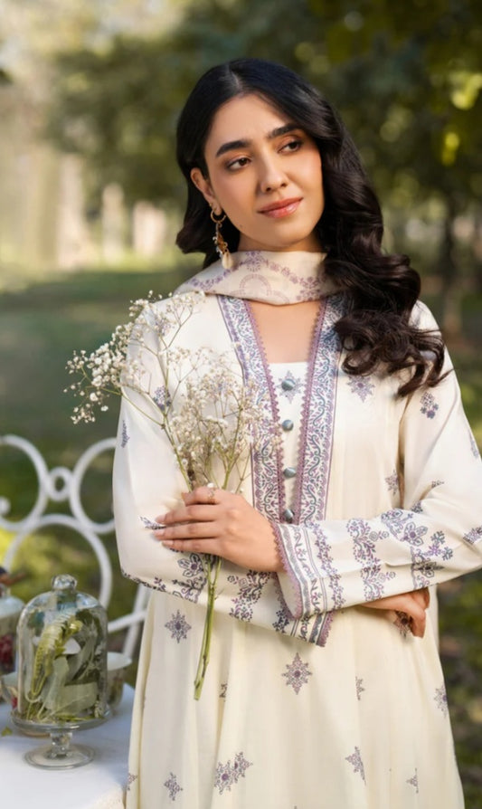 Pakistani/Indian traditional women clothng