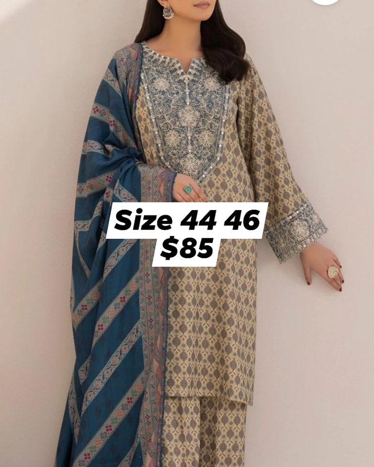 Pakistani/Indian traditional women clothing