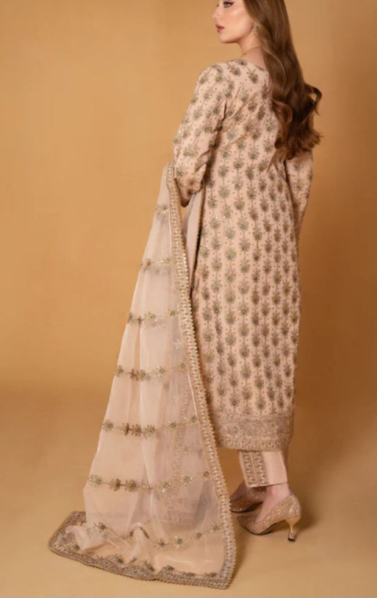 Pakistani/Indian traditional women clothng