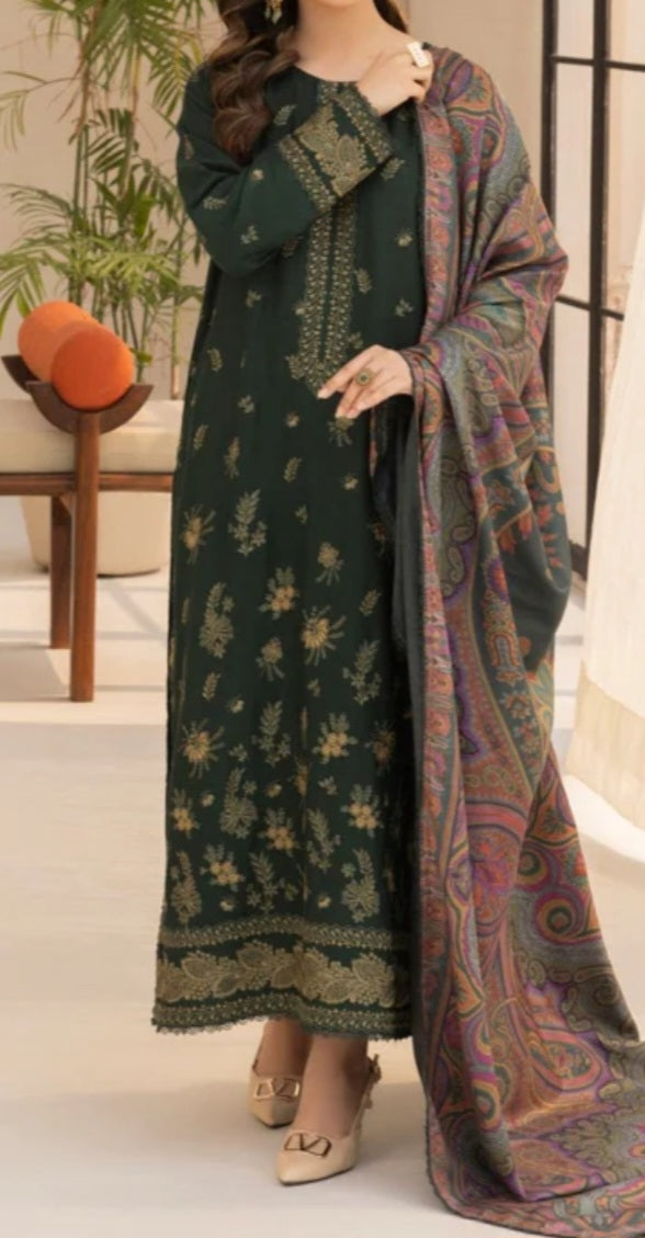 Pakistani/Indian traditional women clothing