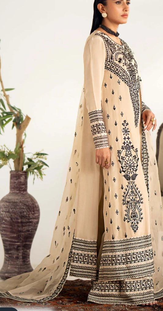 Pakistani/Indian traditional women clothng