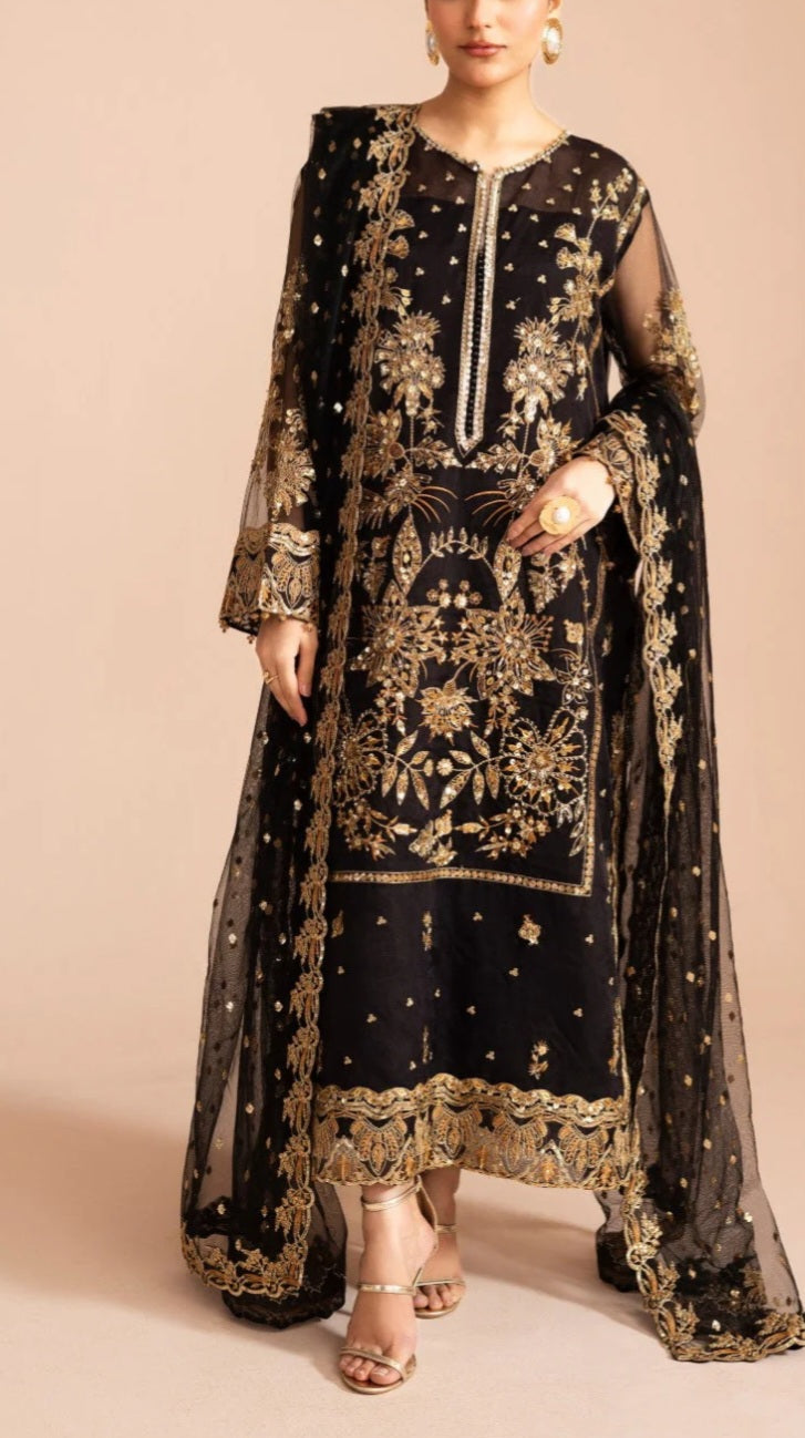 Pakistani/Indian traditional women clothng