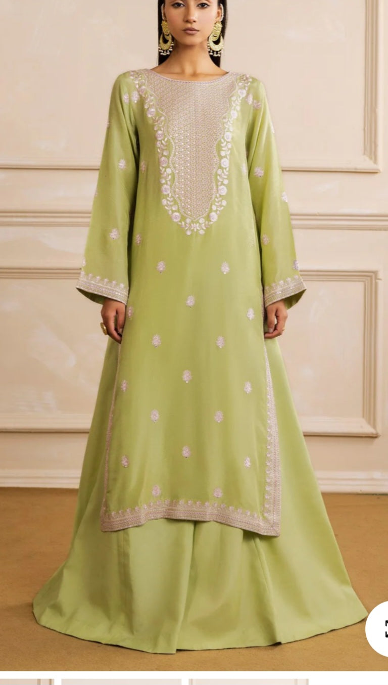 Pakistani/Indian traditional women clothng