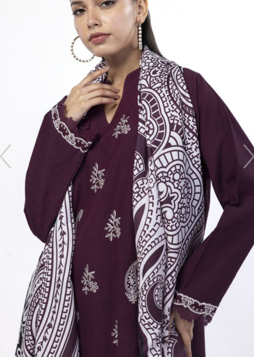 Pakistani traditional embroidery suit