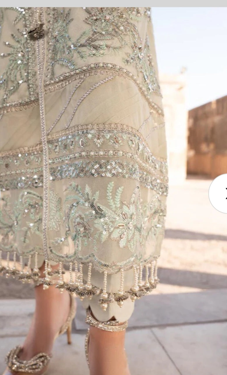 Pakistani/Indian traditional women clothing
