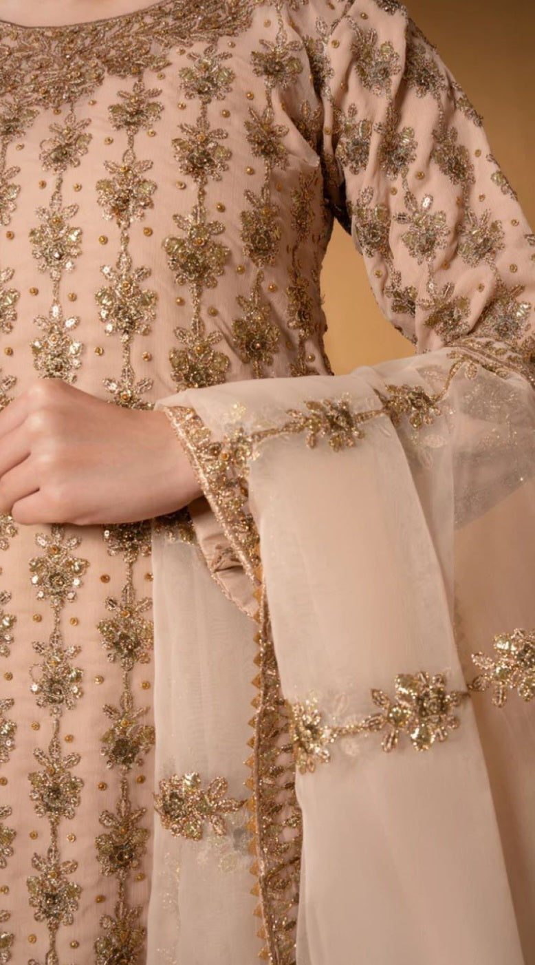 Pakistani/Indian traditional women clothng