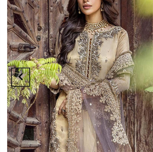 Pakistani/Indian traditional women clothing