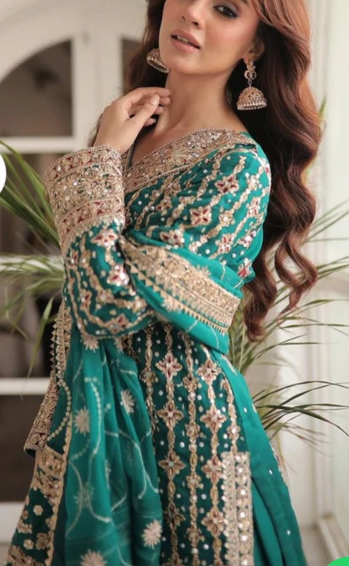 Pakistani/Indian traditional women clothng