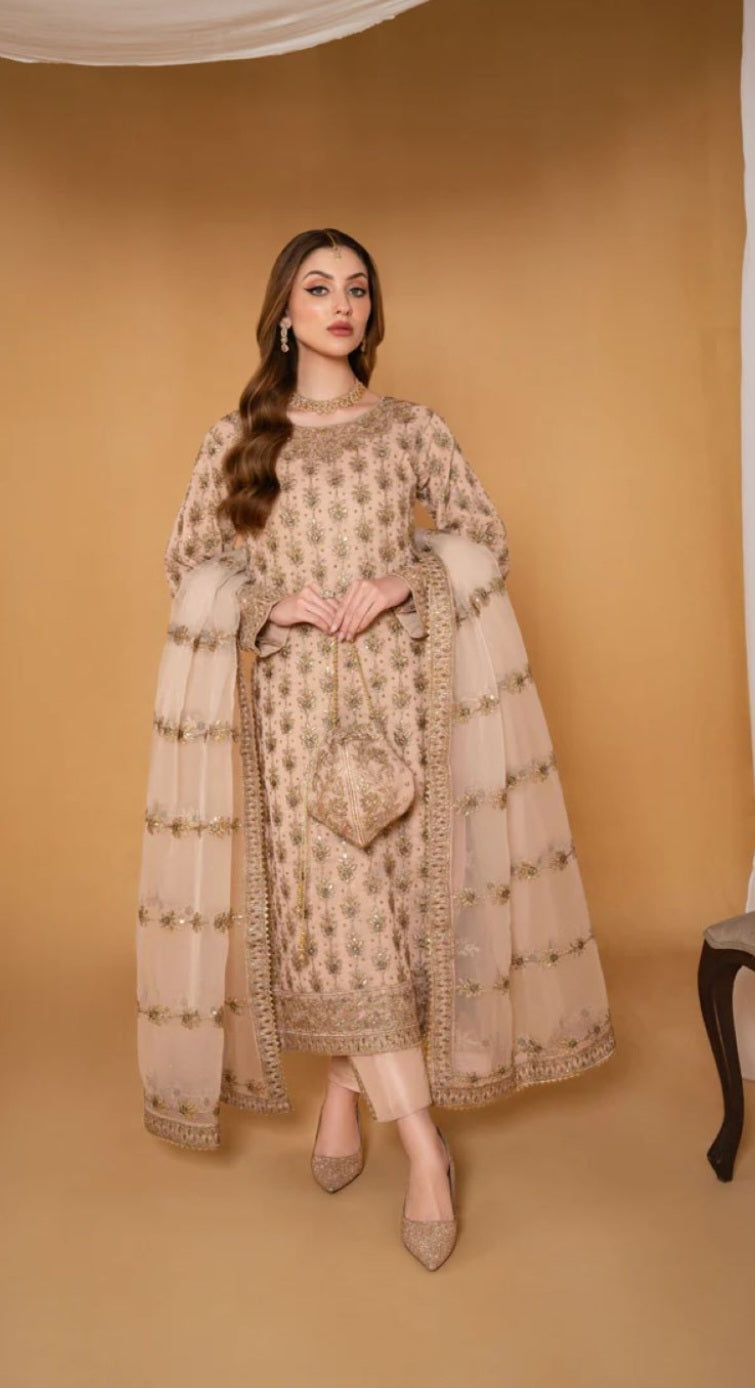 Pakistani/Indian traditional women clothng