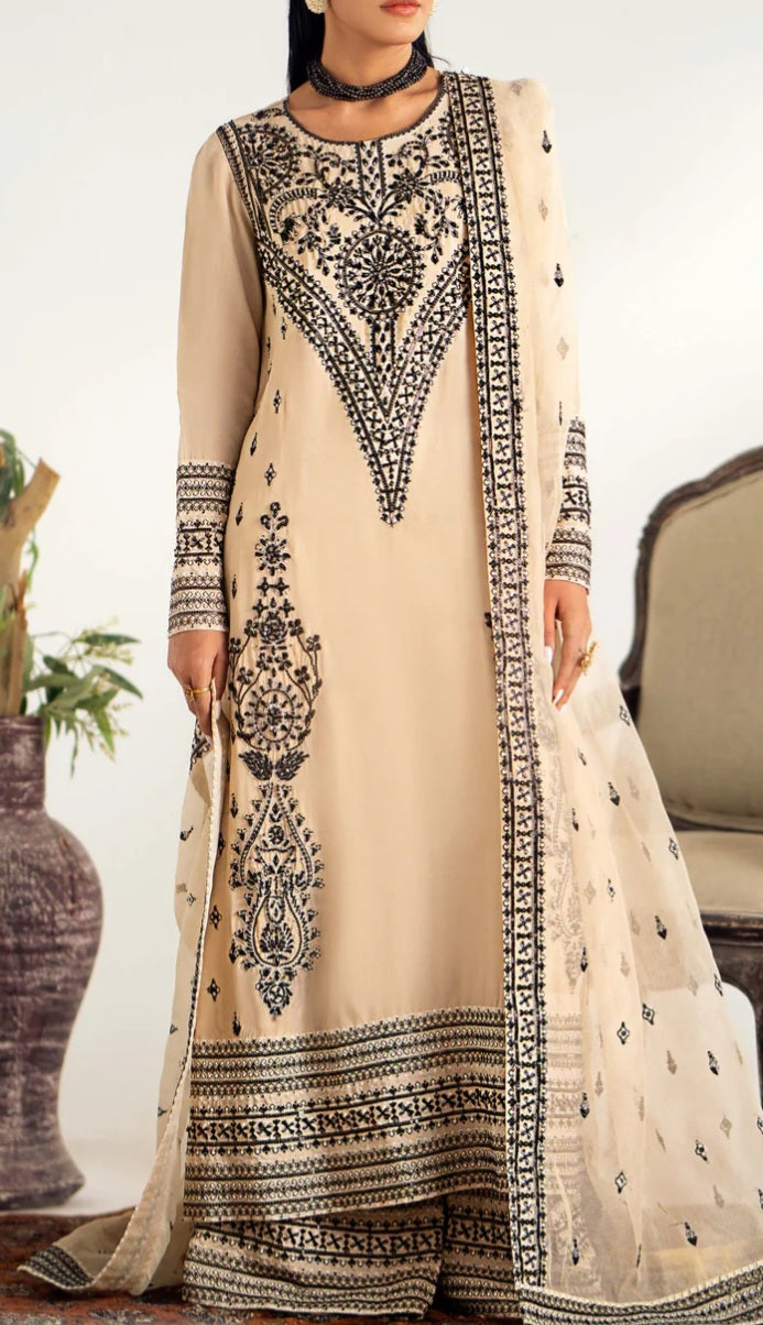 Pakistani/Indian traditional women clothng
