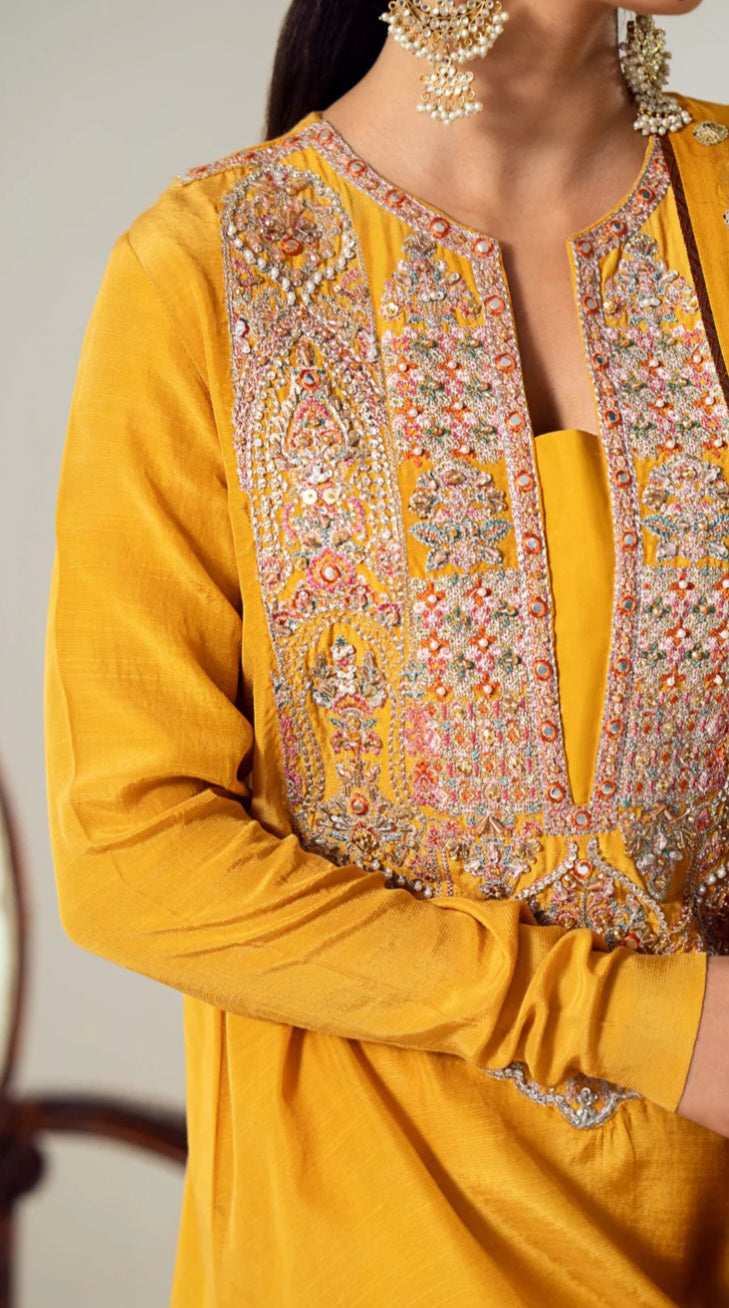 Pakistani/Indian traditional women clothng