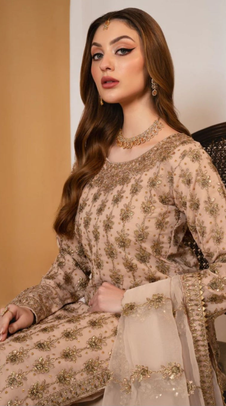 Pakistani/Indian traditional women clothng