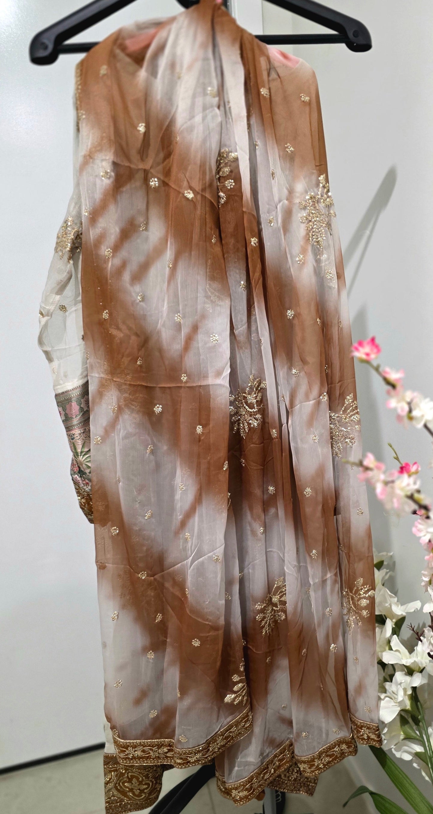 Pakistani/Indian traditional women clothng