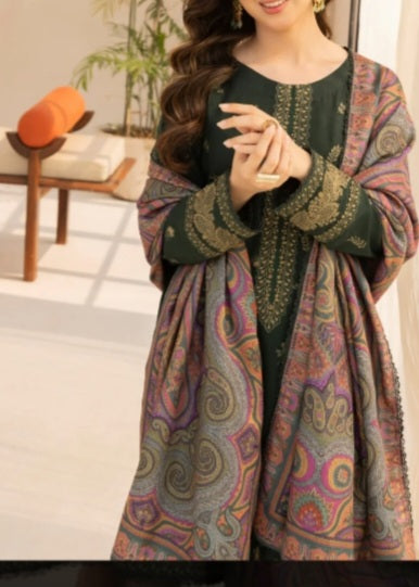 Pakistani/Indian traditional women clothing