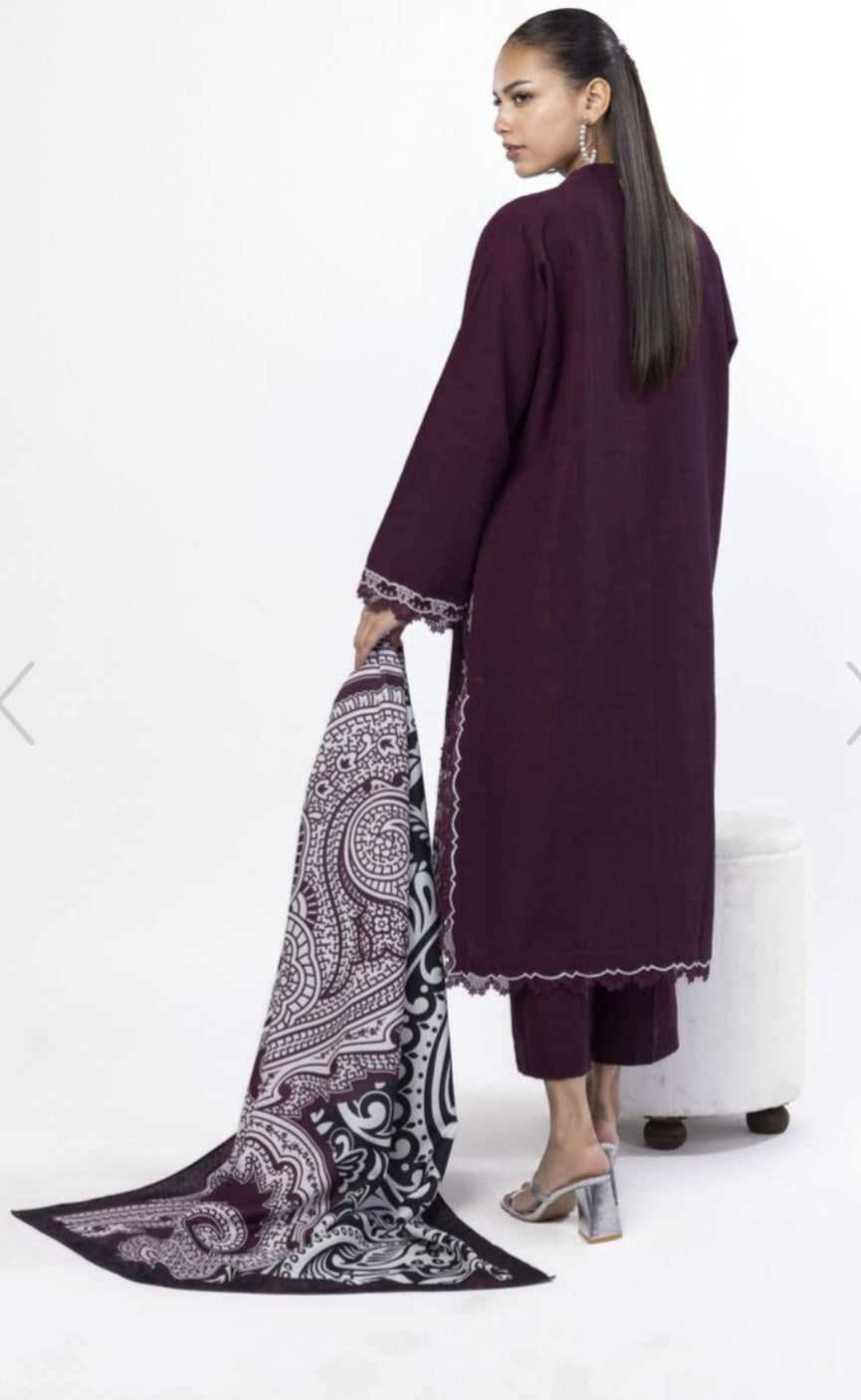 Pakistani traditional embroidery suit