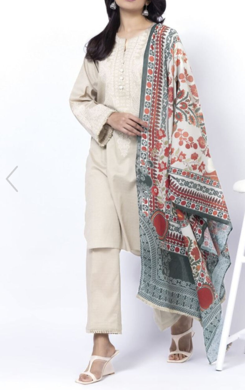 Pakistani traditional embroidery suit