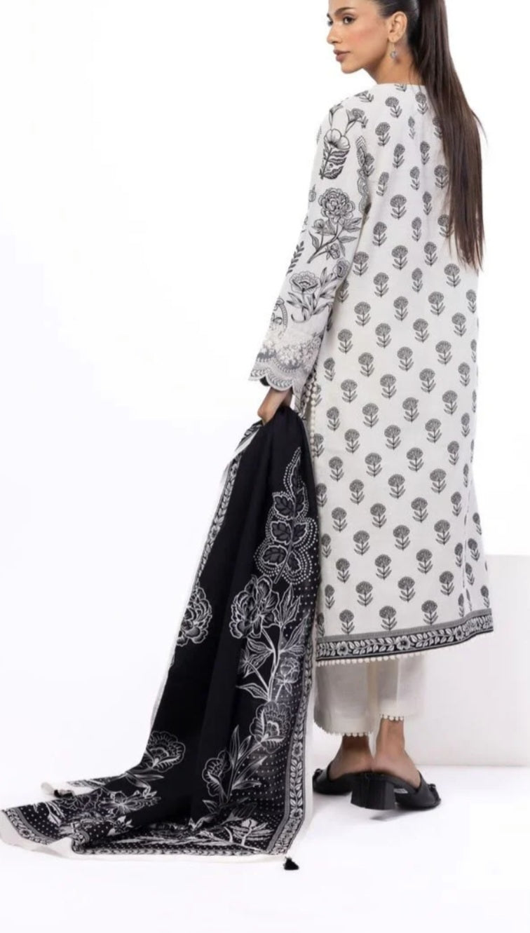 Pakistani/Indian traditional women clothng