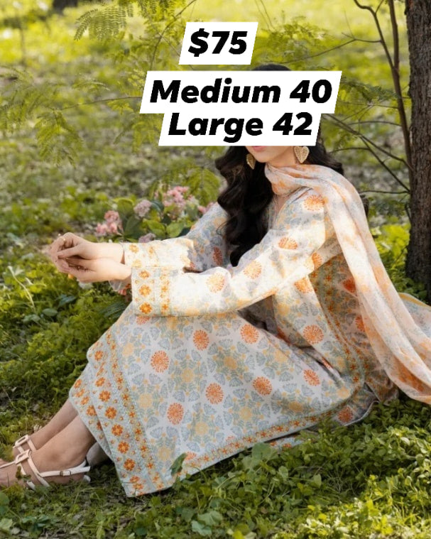 Pakistani/Indian traditional women clothng