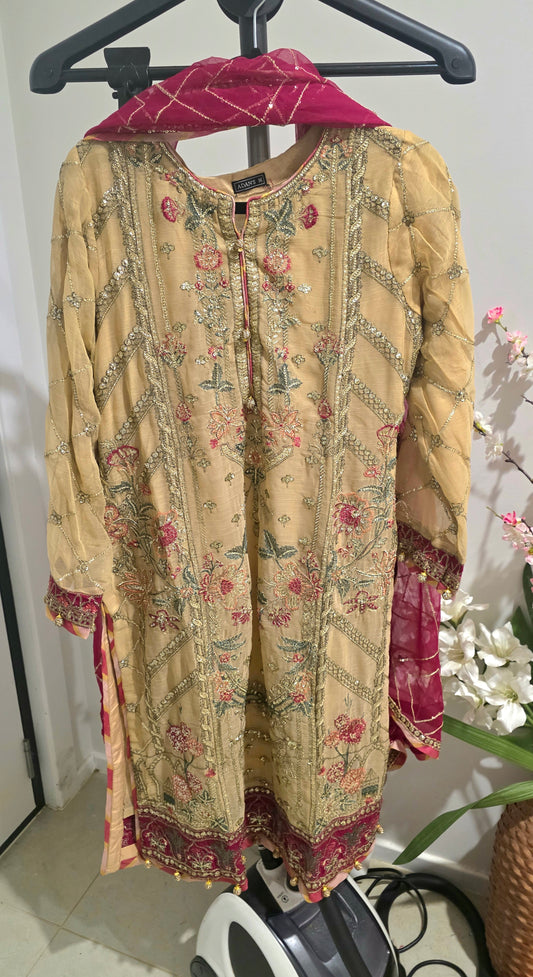 Pakistani/Indian traditional women clothing