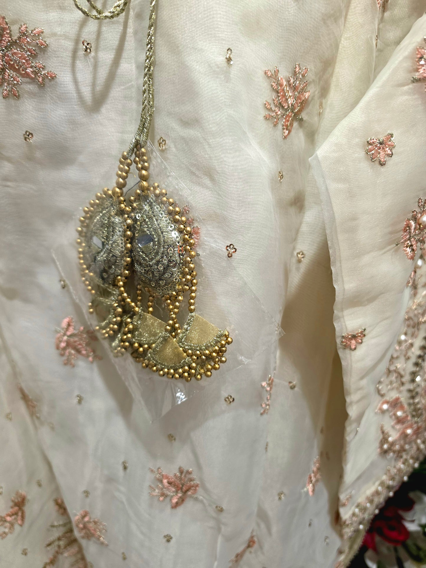 Pakistani/Indian traditional women clothng