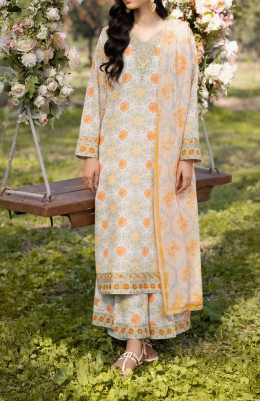 Pakistani/Indian traditional women clothng