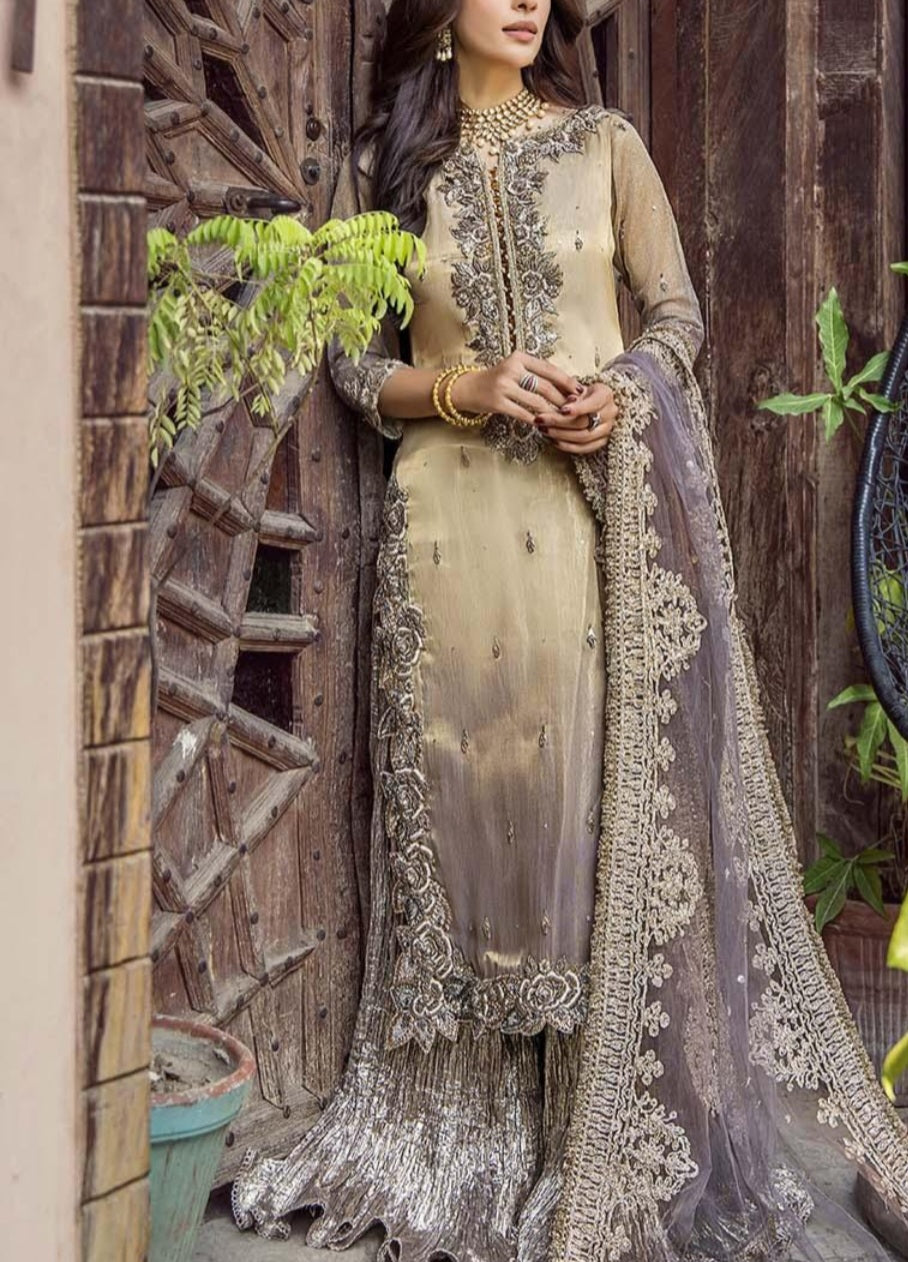 Pakistani/Indian traditional women clothing