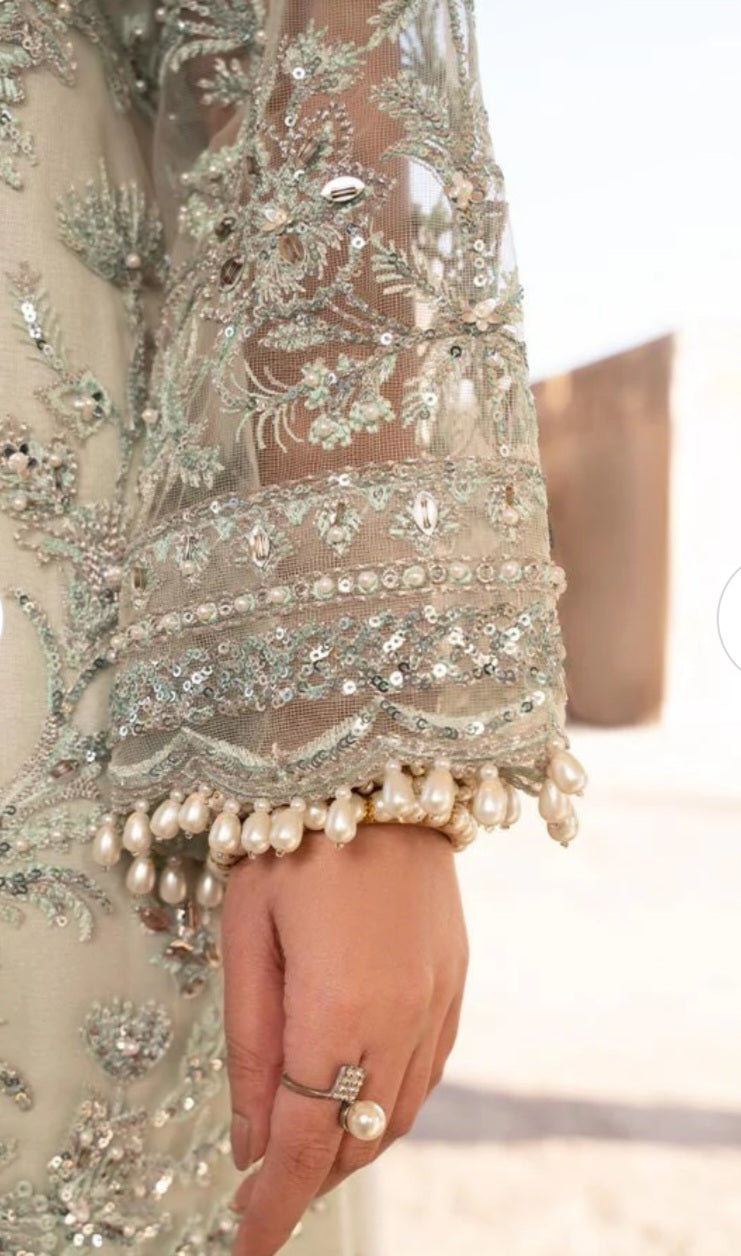 Pakistani/Indian traditional women clothing