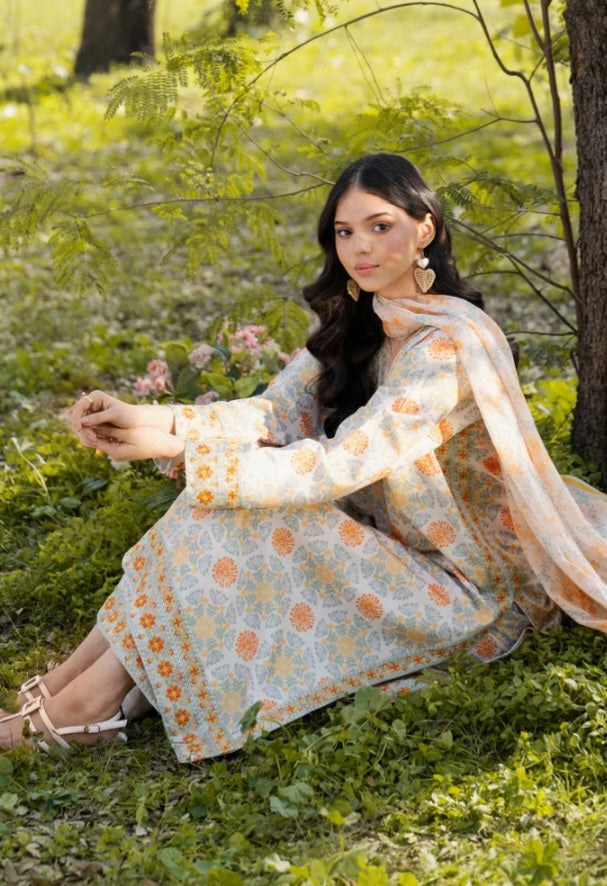 Pakistani/Indian traditional women clothng